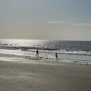 Meet your Posher, Natasha